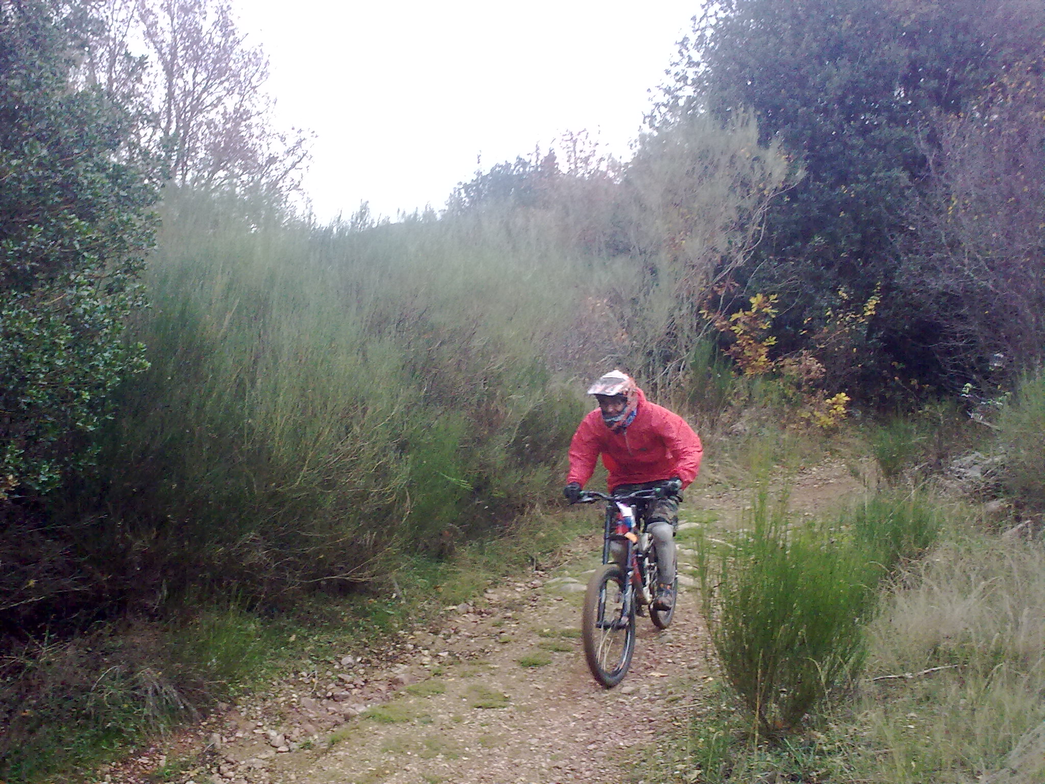 Bicicleta de Montaña