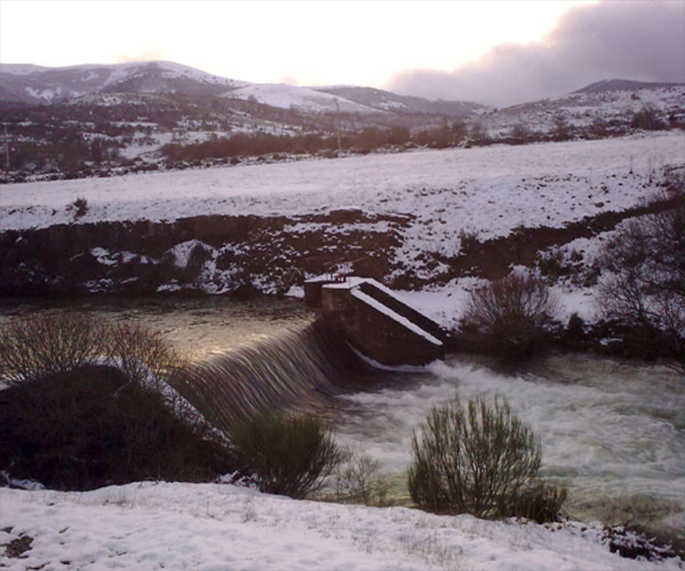 Detalle del entorno en Invierno