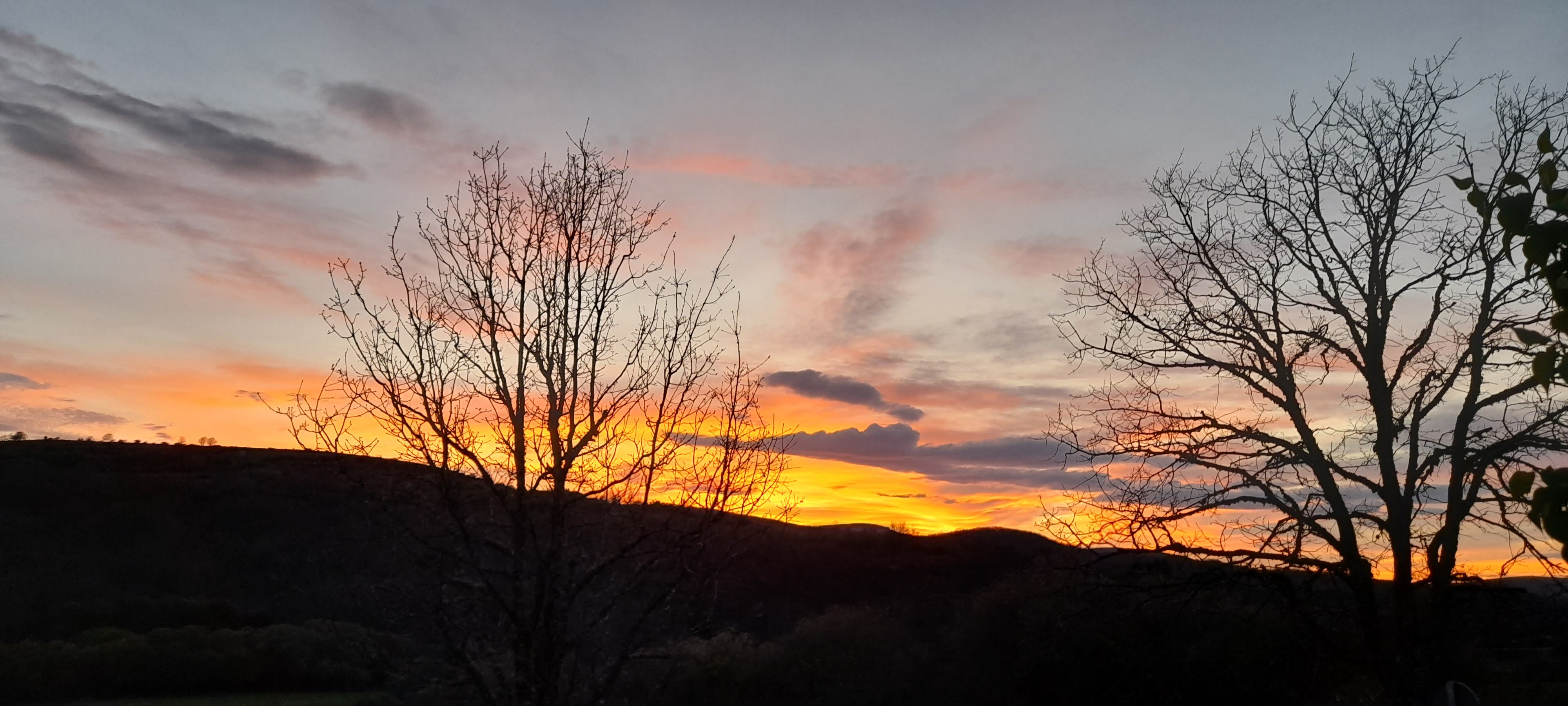 Detalle del entorno en Otoño