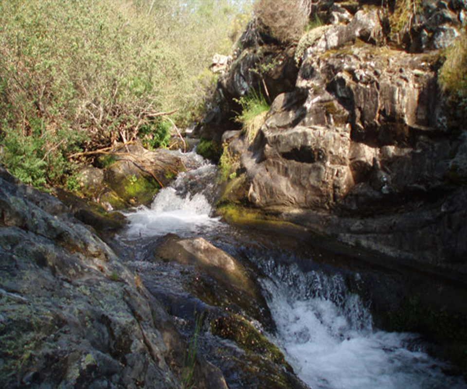 Detalle del Entorno en Primavera