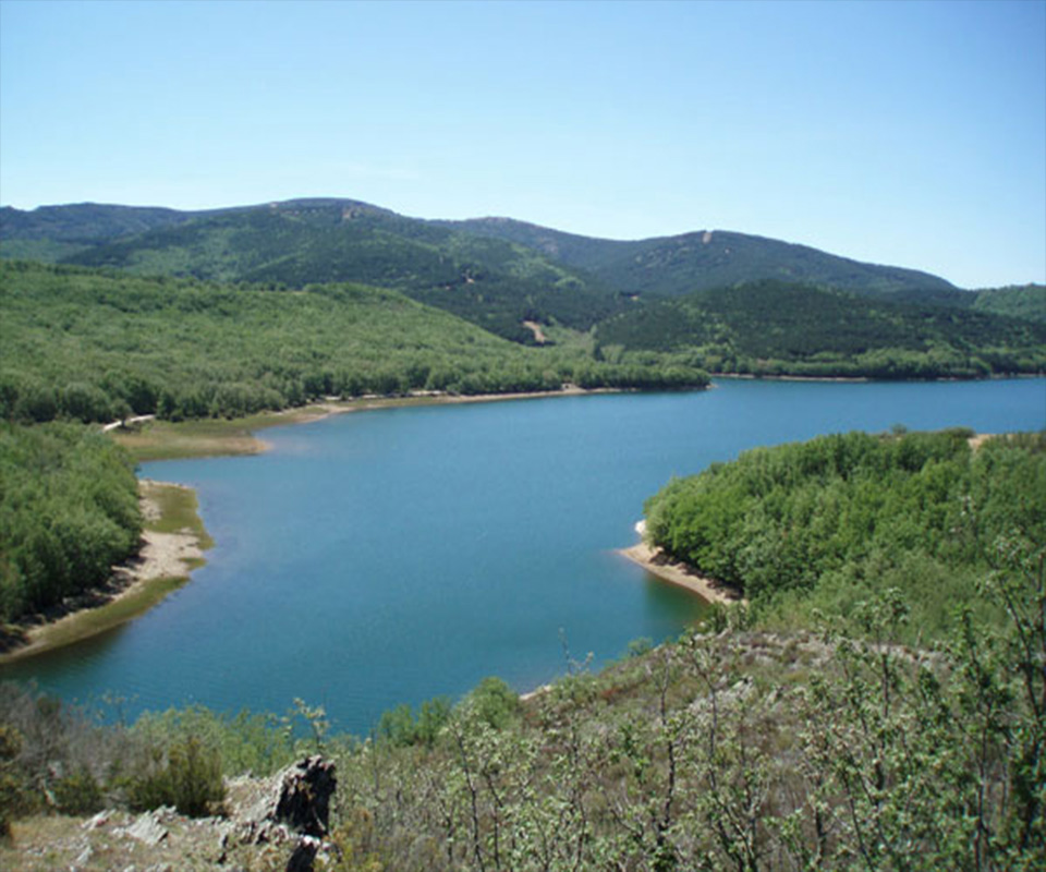 Detalle del entorno en Verano